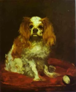 A King Charles Spaniel – Regal – Textured