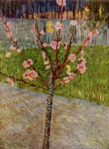 Almond Tree in Blossom – Hopeful Spring – Textured Canvas