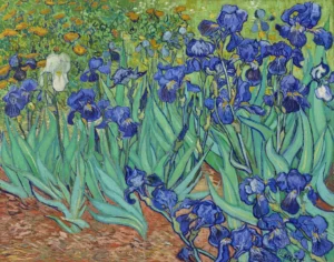 Irises – Blooming Garden – Hand-Painted Oil