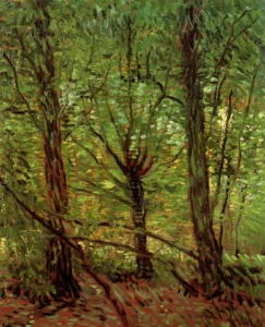 Hand-painted Trees and Undergrowth reproduction by Vincent Van Gogh – textured brushstrokes of sunlit forest greenery.