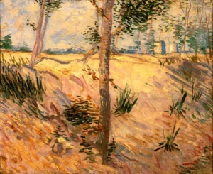 Trees in a Field on a Sunny Day – Radiant – Textured Canvas