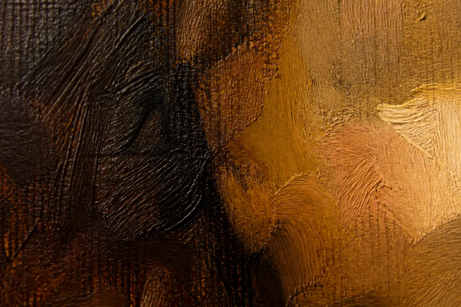 Rembrandt reproduction brushwork texture
